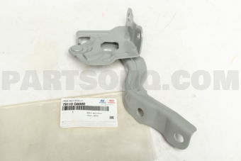 79110G6000 HINGEASSY-HOODLH