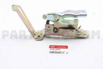 791202P500 HINGE ASSY-HOOD RH