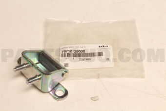 79710D9000 HINGE ASSY-TAIL GATE