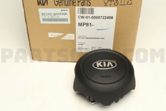 80100Q6000WK 