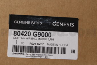 80420G9000 CURTAIN AIR BAG MODULE,RH