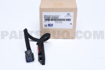 81260G3000 HANDLE ASSY-TAIL GATE O/S