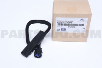 81260G3000 HANDLE ASSY-TAIL GATE O/S