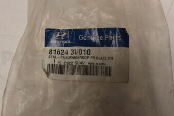 816243V010 SEAL-PANOR