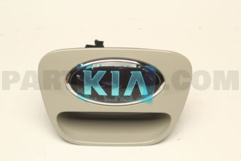 81720G6010 HANDLEASSY-TAILGAT