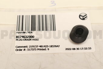 817463Z000 PLUG-DRAIN HOLE