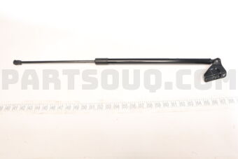 81830CG300 LIFTER ASSY - TAILGATE, LH