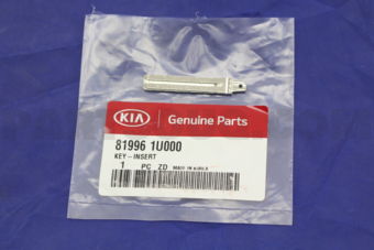 819961U000 KEY-INSERT