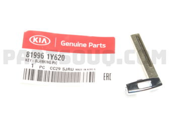 819961Y620 KEY-BLANKING PIC
