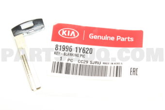 819961Y620 KEY-BLANKING PIC