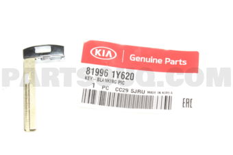 819961Y620 KEY-BLANKING PIC