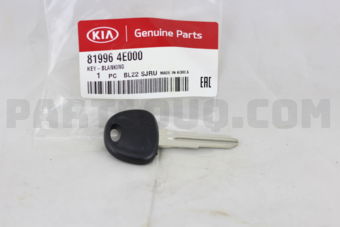 819964E000 KEY-BLANKING