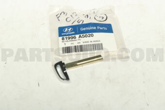 81996A5020 KEY-BLANKING PIC