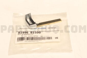 81996B1500 KEY-BLANKING PIC