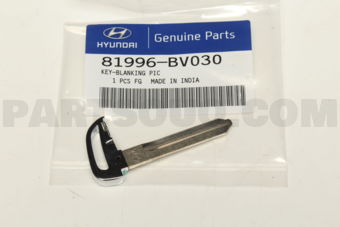 81996BV030 KEY-BLANKING PIC