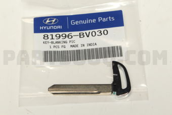 81996BV030 KEY-BLANKING PIC