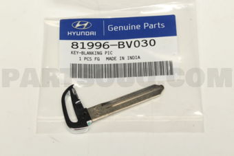 81996BV030 KEY-BLANKING PIC