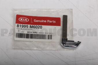 81996M6020 KEY-BLANKINGPIC