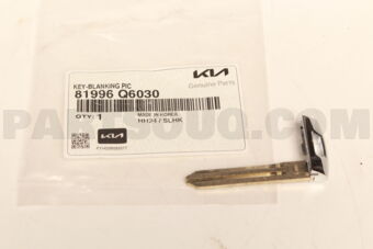 81996Q6030 KEY-BLANKING PIC