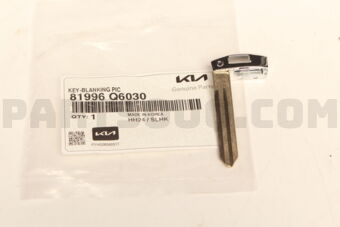 81996Q6030 KEY-BLANKING PIC