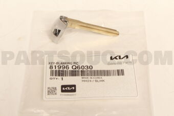81996Q6030 KEY-BLANKING PIC
