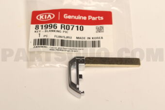 81996R0710 KEY-BLANKING PIC