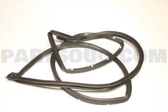 82130Q6000 W STRIP ASSY-FR DR SIDE LH