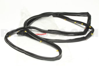 821401W000 W/STRIP ASSY-FR DR