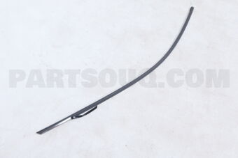 828602W000 MOULDING ASSY-FR DR FRAME RH