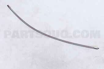828602W000 MOULDING ASSY-FR DR FRAME RH