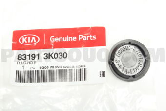 831913K030 PLUG- HOLE