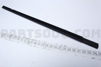 832103W000 W/STRIP-RR DR B