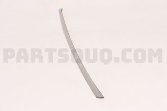 838602T000 MOULDING RDR FRAME R