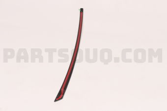 838602T000 MOULDING RDR FRAME R