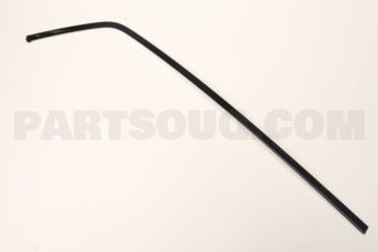83860R2010 MOULDING ASSY-RR DR FRAME,RH