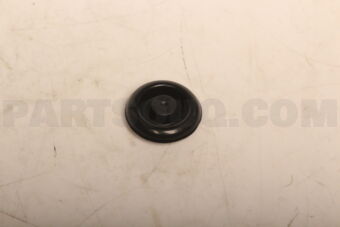 841433X000 PLUG-DRAIN