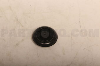 841433X000 PLUG-DRAIN