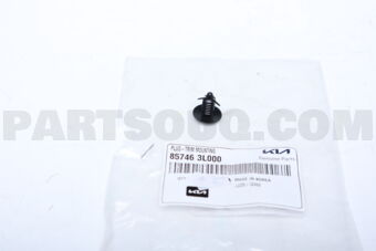857463L000 PLUG-TRIM MOUNTING