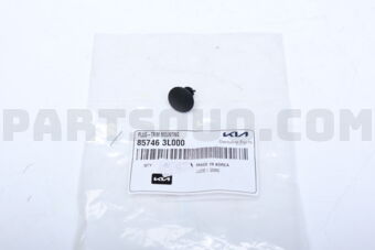 857463L000 PLUG-TRIM MOUNTING