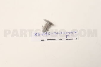 857463L000TTX PLUG-TRIM MOUNTING