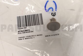 857463L000TX PLUG-TRIM MOUNTING