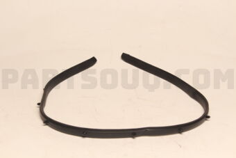 863572T000 STRIP-FR BUMPER