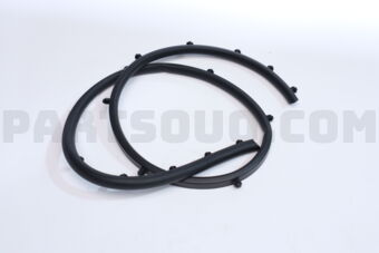 86360Q7000 STRIPASSY-FRBUMPER