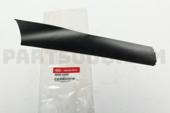 86363A2000 TAPE-FR DR BLACK FRAME RR LH