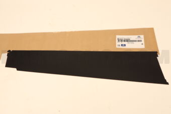 86363D3000 TAPE-FR DR BLACK FRAME RR LH