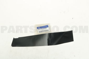 86373C9000 TAPE-RR DR FRAME BLACK RR,RH