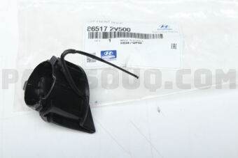 865172V500 CAP-FRONT HOOK