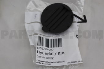 865173W000 CAP-FR HOOK