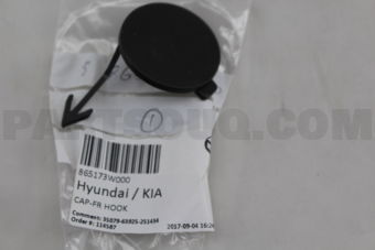 865173W000 CAP-FR HOOK