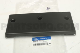 86519F2010 MOULDING-FRT BPR LICENSE PLATE